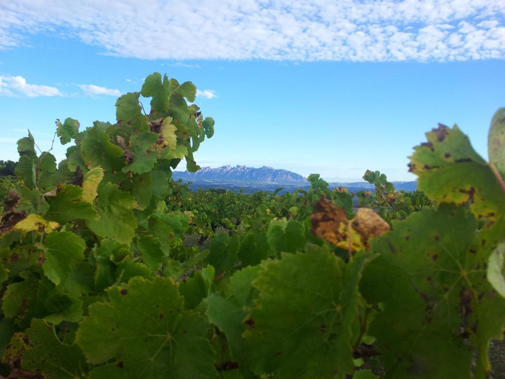 Country house Cal Jeroni Avinyonet del Penedes